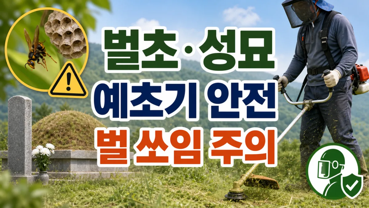 벌초 성묘 안전, 예초기 사고와 벌 쏘임이 9월에 몰리는 이유