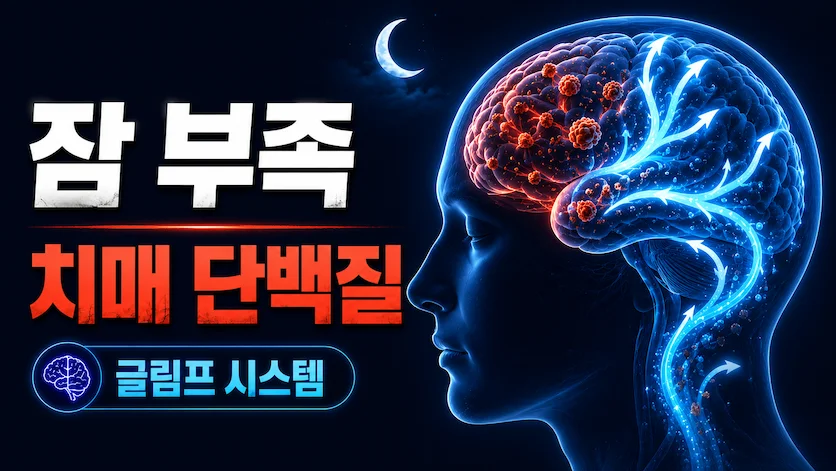 잠 못 자면 뇌에 쌓이는 치매 단백질, 글림프 시스템의 진실